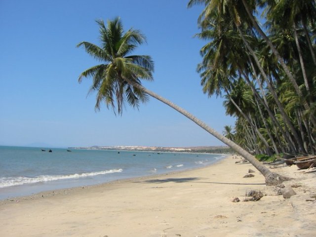 GHÉP KHÁCH: TOUR THAM QUAN PHAN THIẾT - ĐÀ LẠT